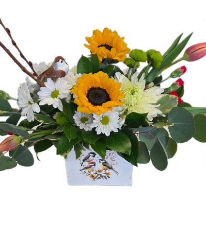 Morning tweets Fresh arrangement