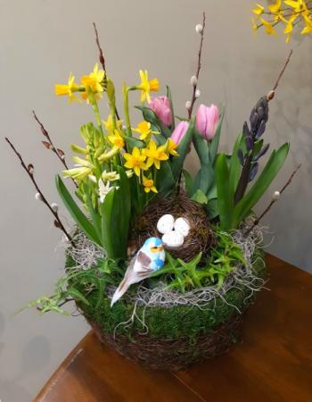 Mossy Spring Bulb Garden Plant