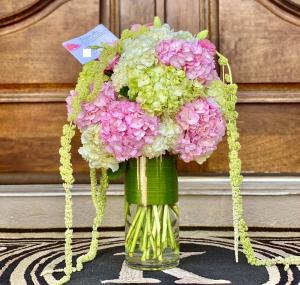 Most beautiful Hydrangeas  