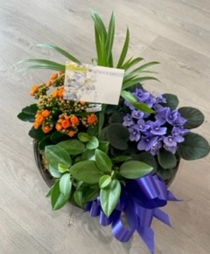 Planter Garden 