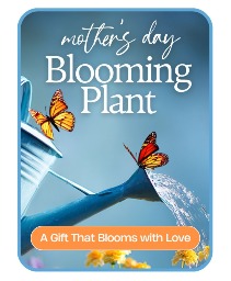 Mother's Day Blooming Plant Flower Arrangement