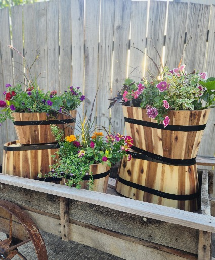 Mothers Day Blooming Planter 