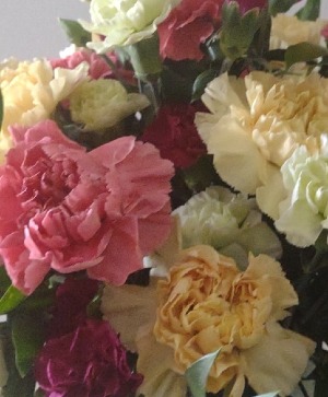 Father's day carnations Carnations loose