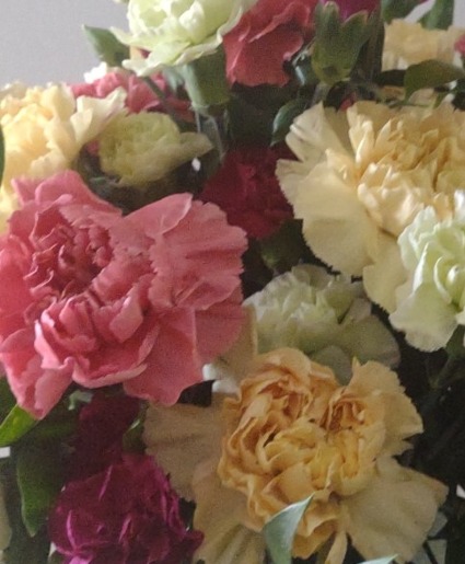 Father's day carnations Carnations loose