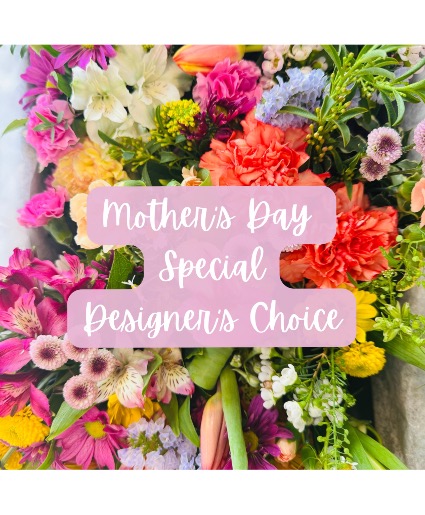 Mother's Day Designer's Choice Special 