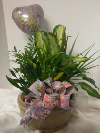 Mother's Day Dish Garden