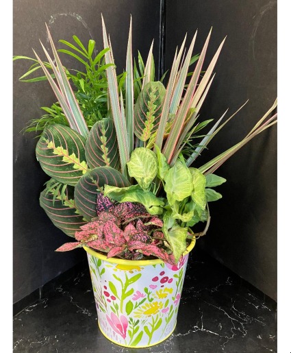 MOTHERS DAY PLANTER GARDEN PLANTS
