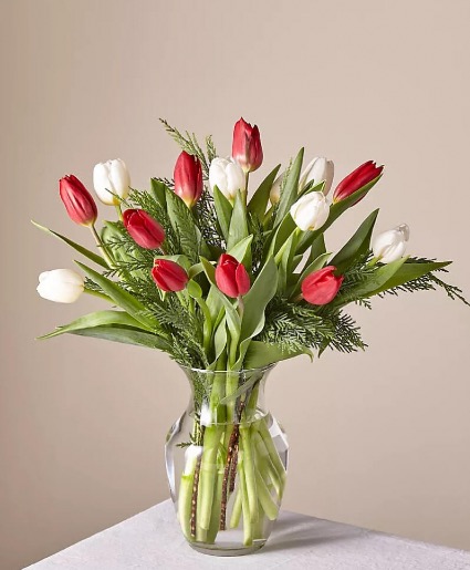 Mothers Day Favorite  Tulips