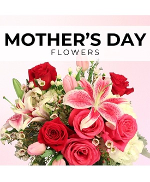 Mother’s Day Florist’s Pick Designer's Choice