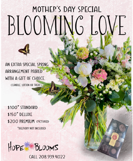 MOTHERS DAY FLOWERS WITH CHOCOLATE SPRING FLOWERS WITH A BOX OF CHOCOALTE
