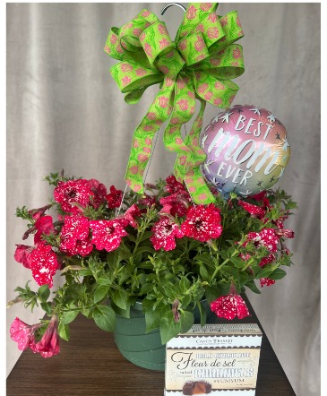 Mother's Day Special #3 Hanging Basket in Mcminnville, OR | POSEYLAND FLORIST