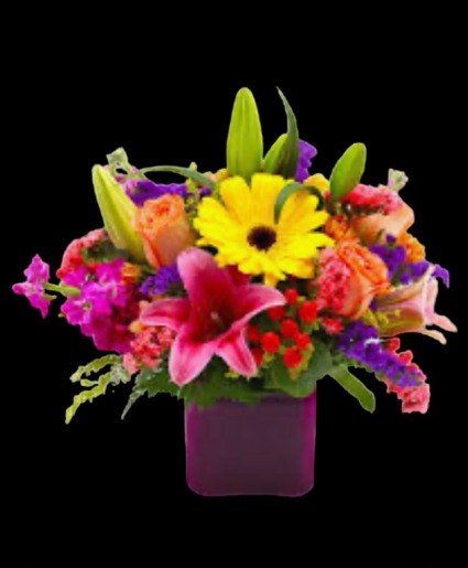 Mothers Dream Mothers Day