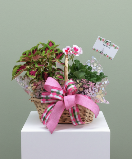 Flowering Garden Basket Garden Basket