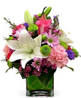 Cutie Pie Fresh flowers