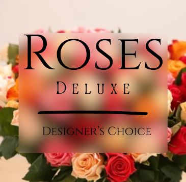 Rose Medley Arranged Roses in Seattle, WA | Neilsen Florist