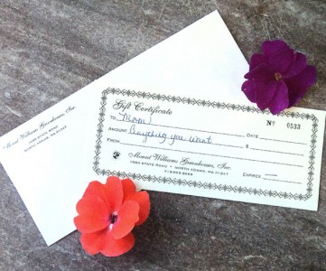 Mount Williams Greenhouses Gift Certificate in North Adams, MA | MOUNT WILLIAMS GREENHOUSES INC
