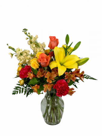 Movie Star Vased Arrangment 