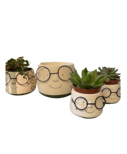 Mr Peabody Planter 