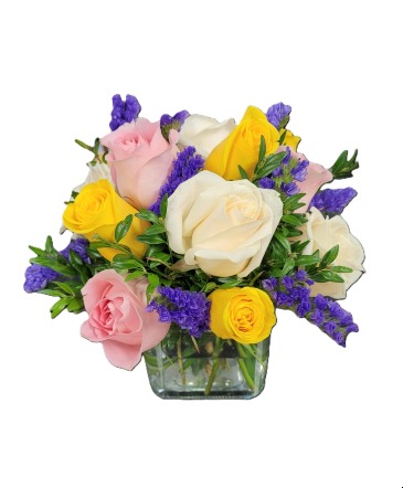 Multi color rose cube arrangement  in Watertown, MA | WATERTOWN FLORIST SHOP