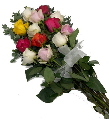 Multi-Color Dozen Wrapped Rose's Cello and ribbon