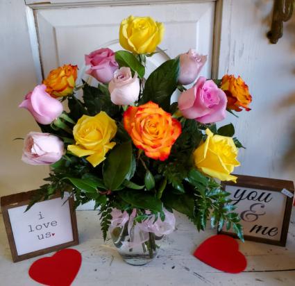 Multi colored dozen roses Roses