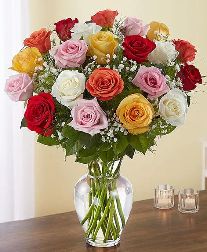 Multicolor Long Stem Roses 