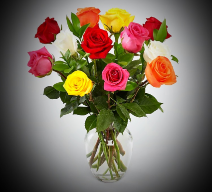 Multicolor Mix color roses
