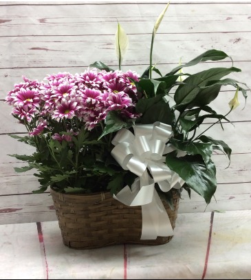 Mum & Peace Lily Combo Basket 79.99 in Culpeper, VA | ENDLESS CREATIONS FLOWERS AND GIFTS