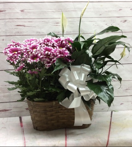 Mum & Peace Lily Combo Basket 79.99