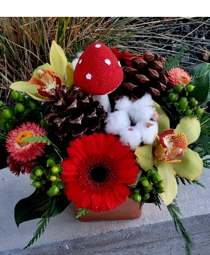 Mushroom Magic 