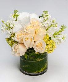 Rose Lush 
