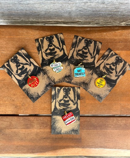 "Sun's Out' and 'Hello my name is..' Jewelry Pet Tags