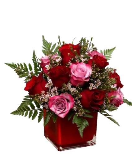 My Everything! valentines