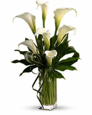 My Fair Lady T83-1 15"(w) x 27.5"(h)