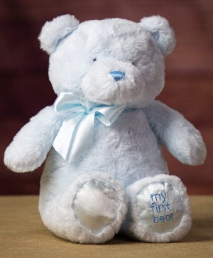 My First Teddy 10inch Blue or Pink Teddy