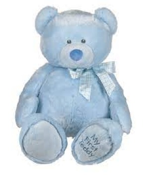 My First Teddy 