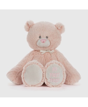 MY FIRST TEDDY - BABY GIRL PINK 16” Stuffed Animal  in Lompoc, CA | BELLA FLORIST AND GIFTS