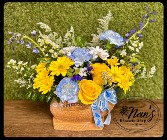 My Little Quarterback 