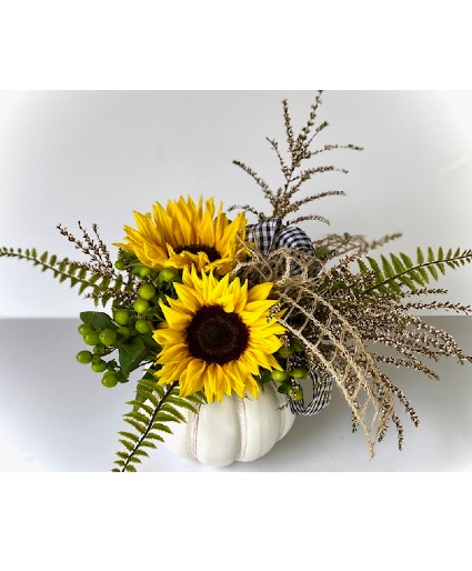 My little white Pumpkin Powell Florist Exclusive fall