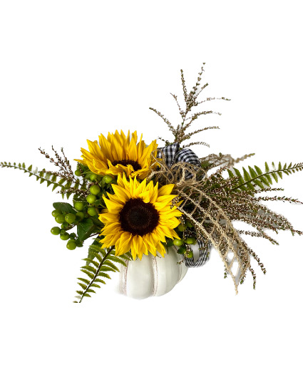 My Little White Pumpkin Powell Florist Fall Exclusive