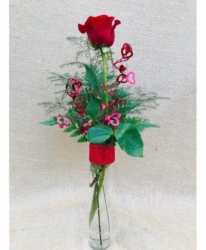 My One and Only  Red Rose Vase