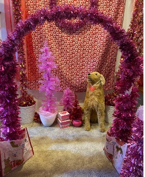 my pink holiday vignette perfect for a pink theme pickup rental great for selfie station 