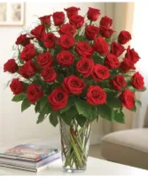 my special valentine roses 4 dozen 
