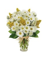 My Sunny Daisy Bouquet White pom in Vase 