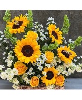 My sunshine  European garden