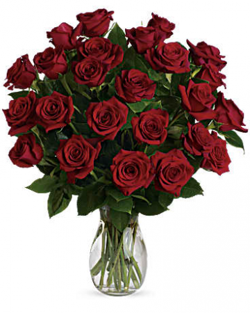 My True Love-2 dozen roses 