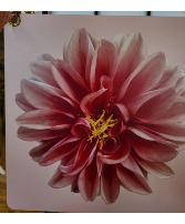 My Yard My Flower #A Photography Pictures