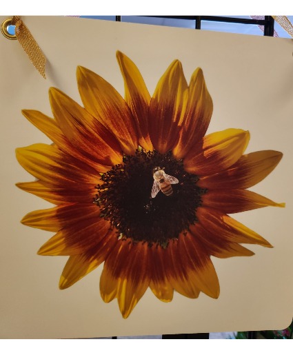 My Yard My Flower #H Photography Pictures