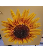 My Yard My Flower #L Photography Pictures