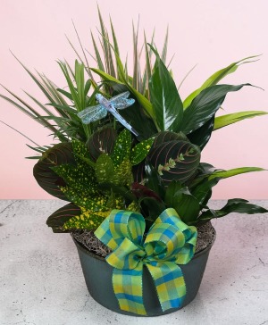 Mystical Garden Planter FHF-P002 Local availability only